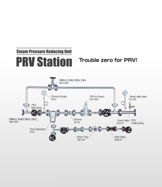 Steam Pressure Reducing Station