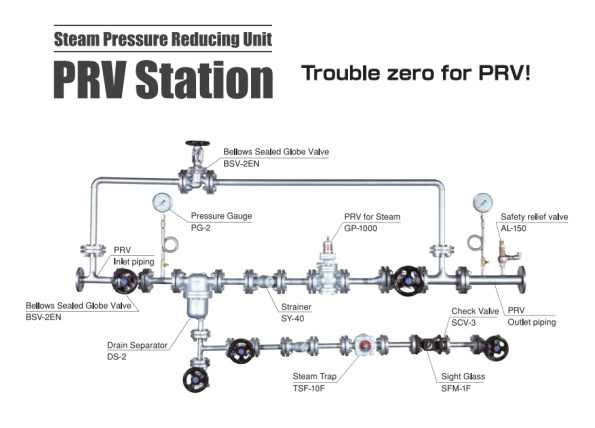 Steam Pressure Reducing Station